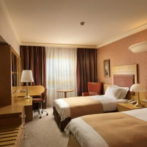 Holiday Inn | Single Standard Room